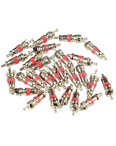 Mécanisme Pour Intérieur Des Valve 413-18 (100pcs)