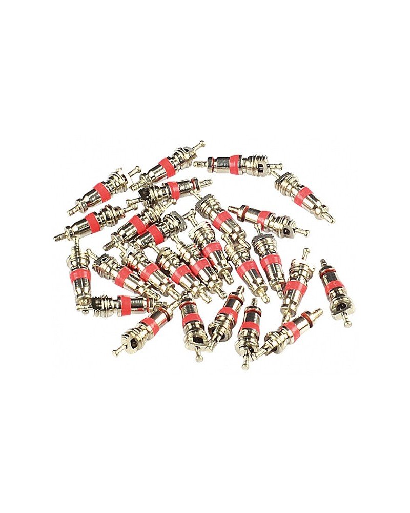 Mécanisme Pour Intérieur Des Valve 413-18 (100pcs)