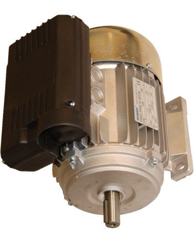 Moteur 750W MONO De Rechange Pour D500+