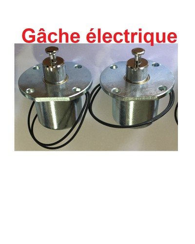 Gâche électrique 12V de Pont Deux Colonnes Hydraulique (VENTE 2pcs)