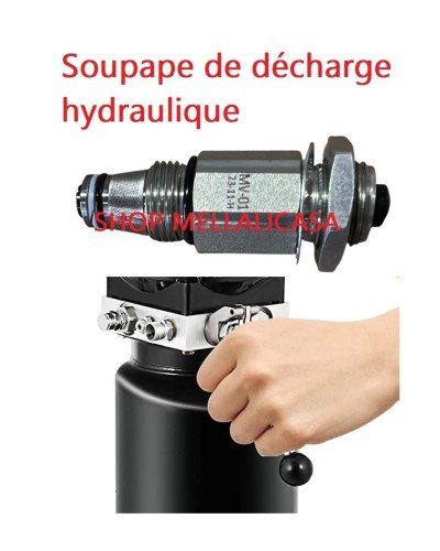 Soupape de décharge hydraulique principale pour Pompe De Pont Deux Colonnes